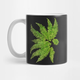 Rare maidenhair fern botanical illustration Mug